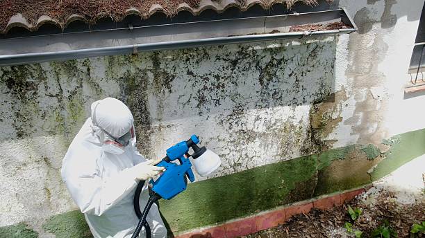 Top rated local Mold Remediation specialists in Atlanta, IL